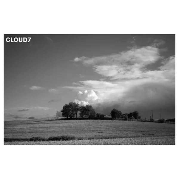 29A19118-1989-44DE-AB28-E44D69CEC2F0.webp