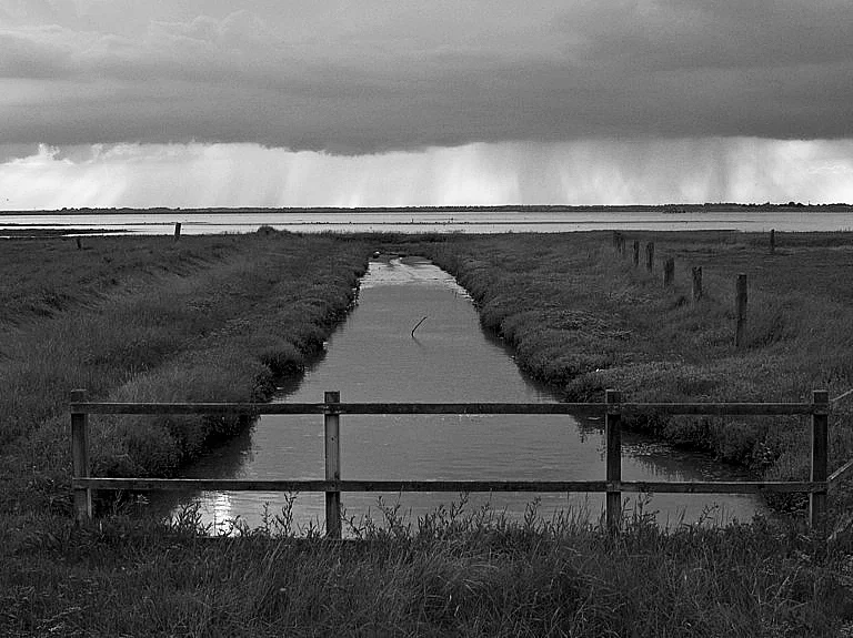 N0708_028_bw.webp