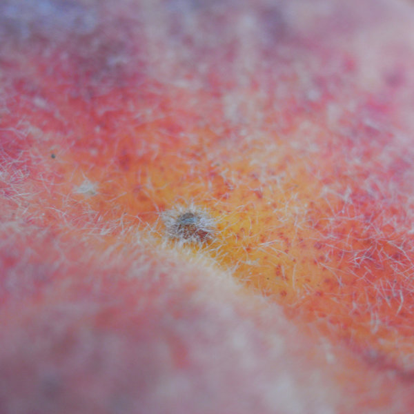 RIMG0163resized for posting.jpg