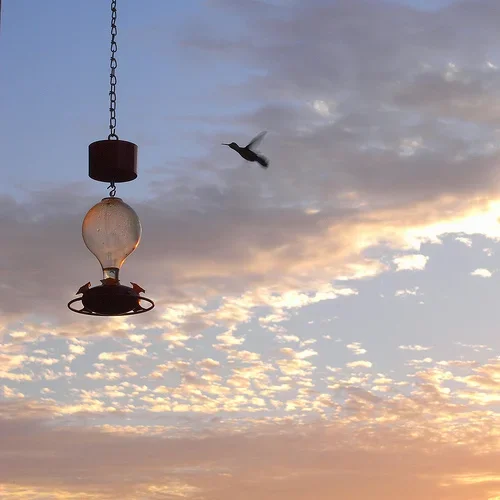 hummersunsetsm.webp