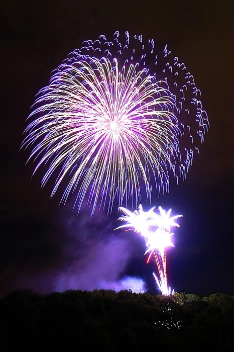 fireworks_resized.webp