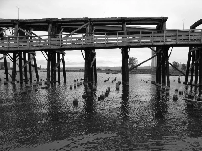 R0010286.webp