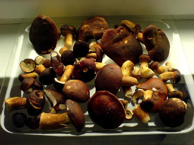 DSC01078_.webp