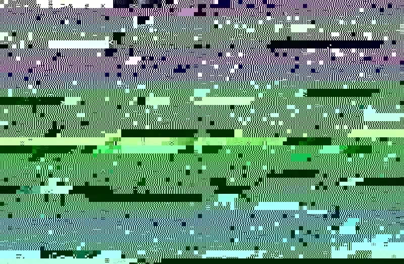 The way in or the way out.webp