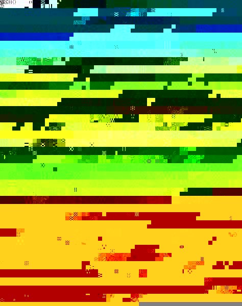 One man and his dogs.jpg