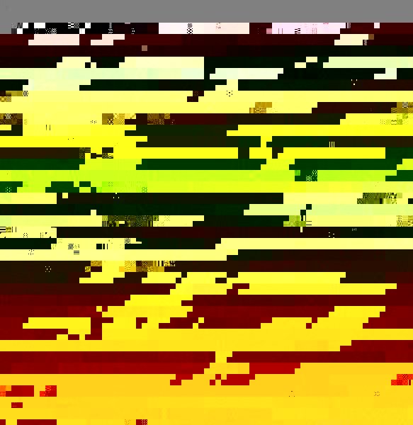 The Old Master B&W.jpg