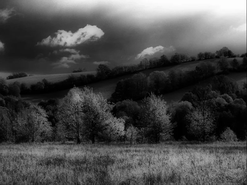 PA076546_bw_sm.webp
