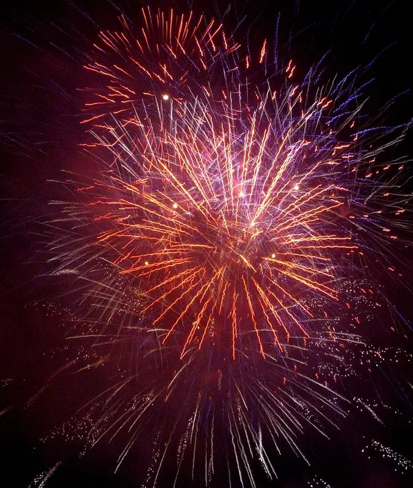 fireworks5.webp