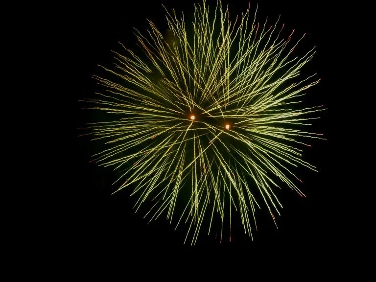 fireworks1.webp