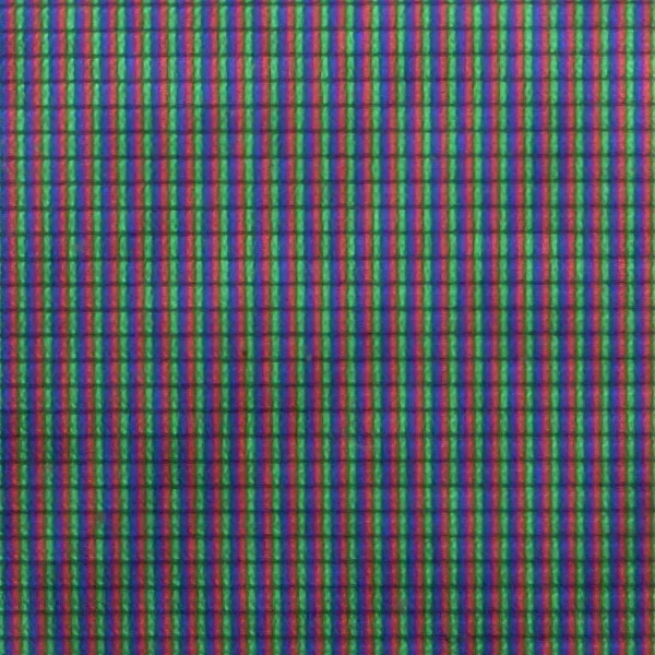 R0011409_sm.webp