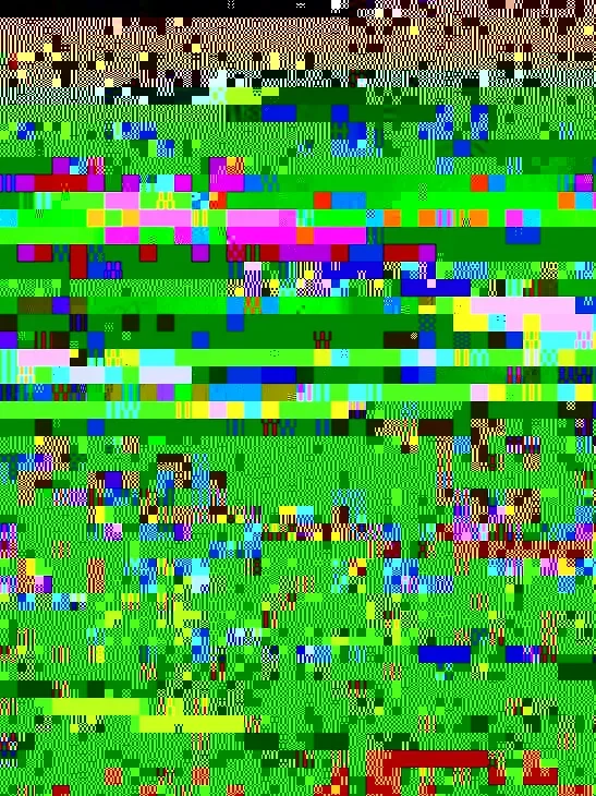 RIMG0957.webp