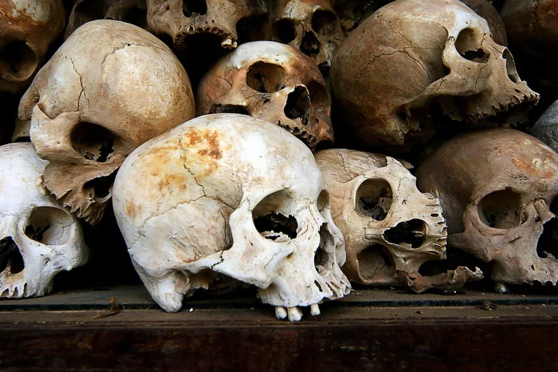 Cheoung Et_Killing Fields_Forum.webp