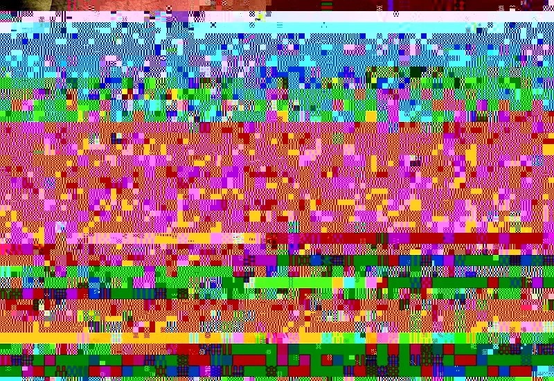 R0018707_sample800.webp