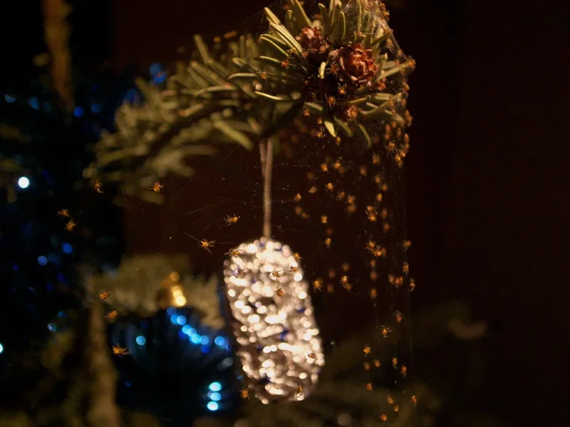 R0012533_dng.webp