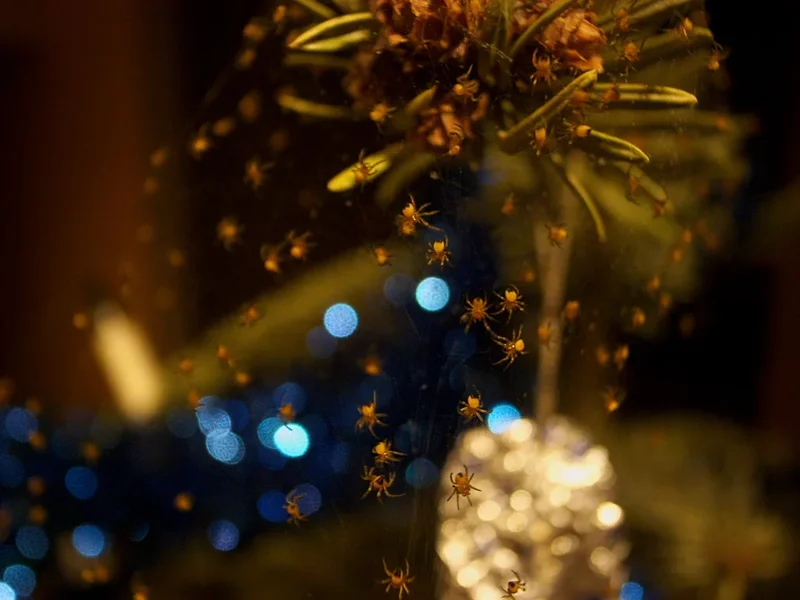 R0012541_dng.webp