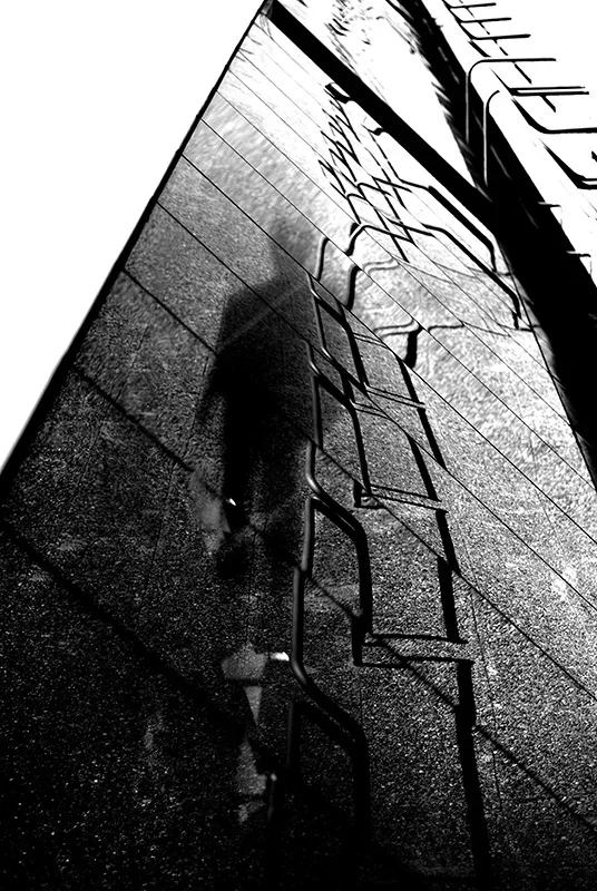 evanescenza modena.webp