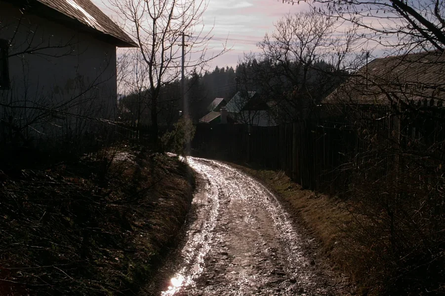 R0013190_dng.webp