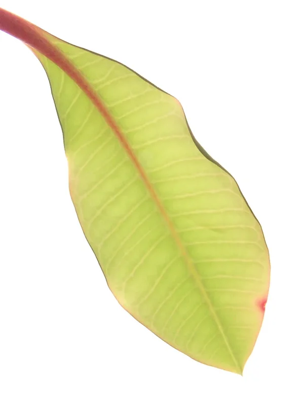 R0013293_dng.webp
