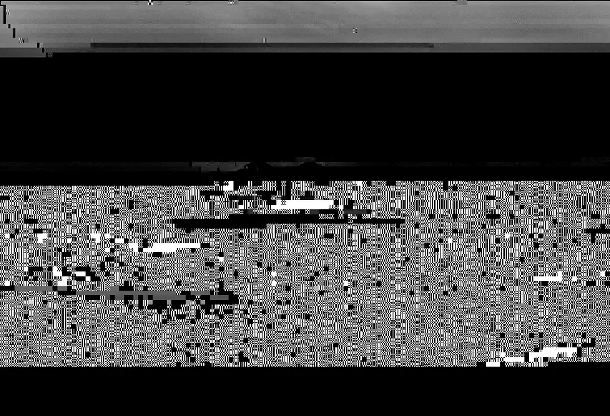 2313640554_5e87f26d97_b[1].webp