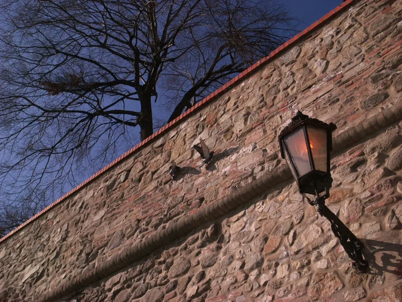 R0013430_dng.webp