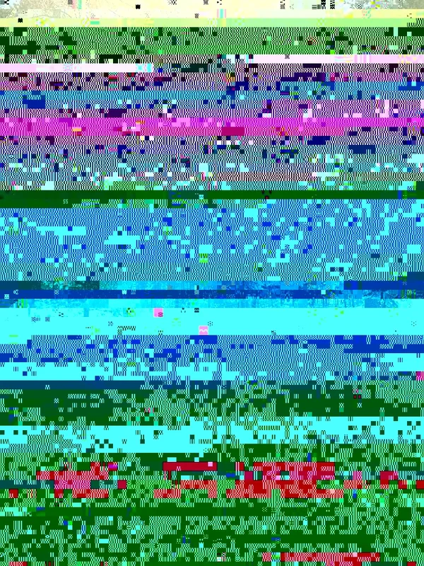 R0013423.webp