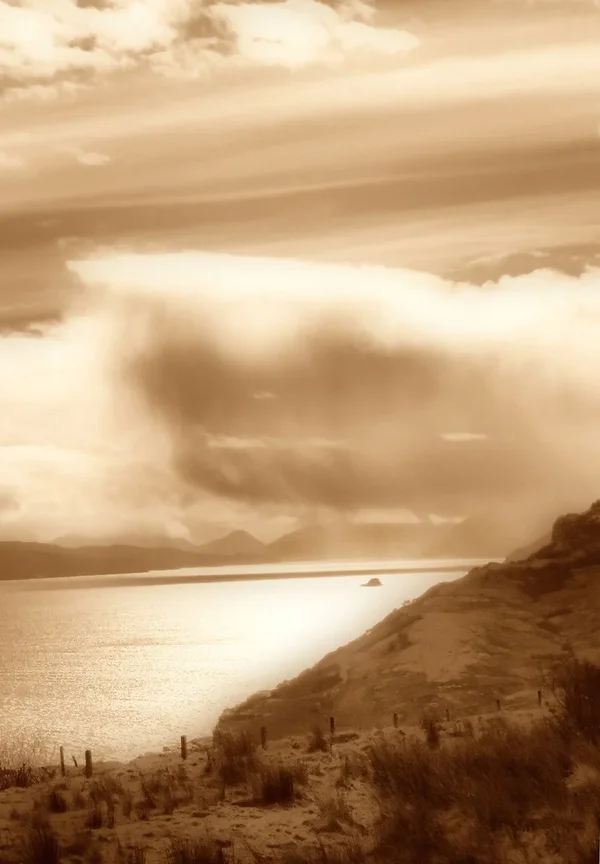 Holm Island.webp