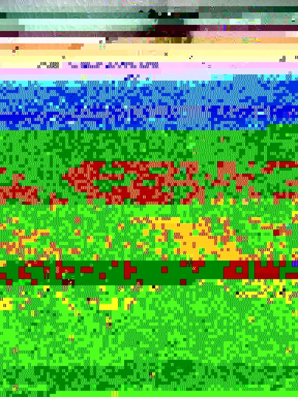 RIMG0620.webp