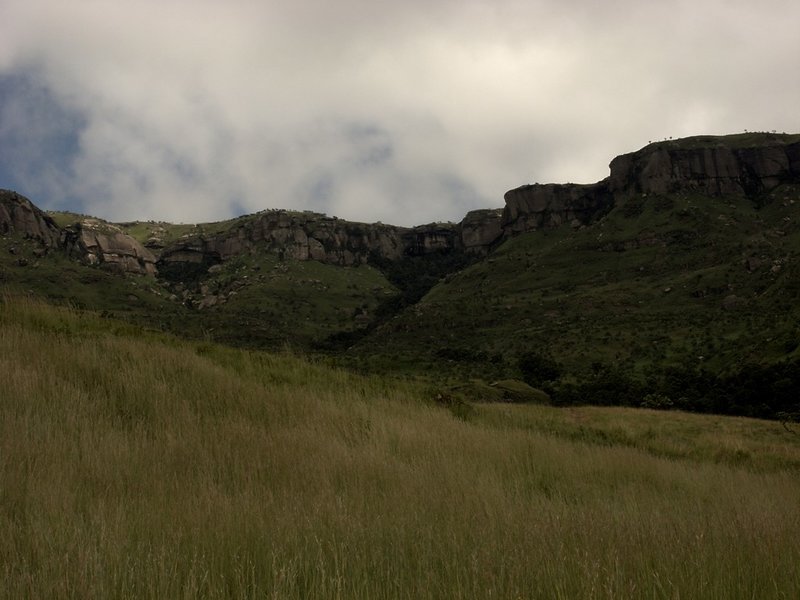 Hills+snowflake grass.jpg