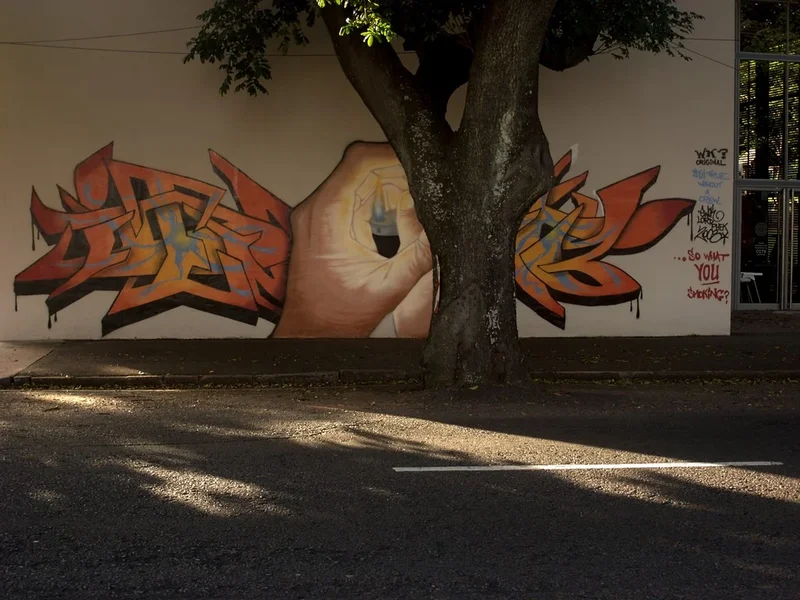 Graffiti by Ewok.webp
