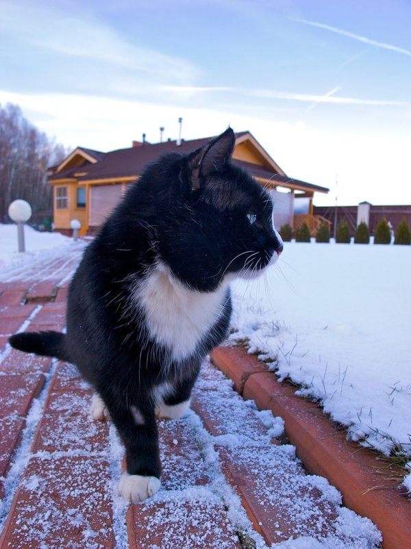 2008-03-21 at 17-49-58.jpg