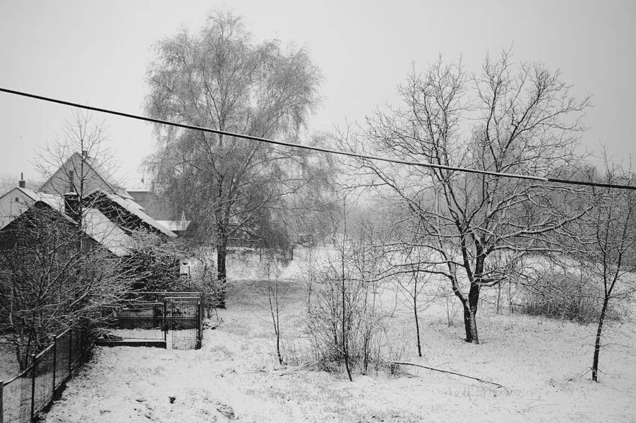 R0013818_dng_bw.webp