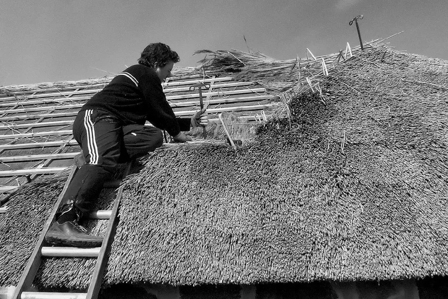 thatcher_cropped.webp