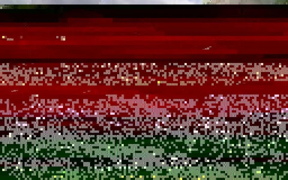 fiddle2.webp