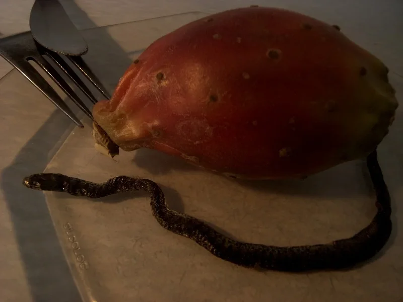 Exotic cuisine.webp
