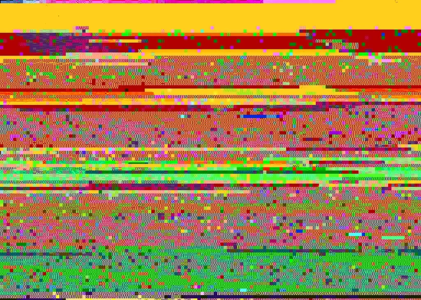 2402255476_afda19618b_b[1].webp