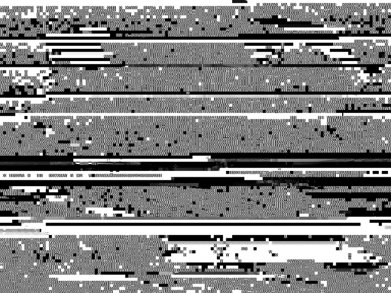 2421238357_ae67b97fc8_b[1].webp