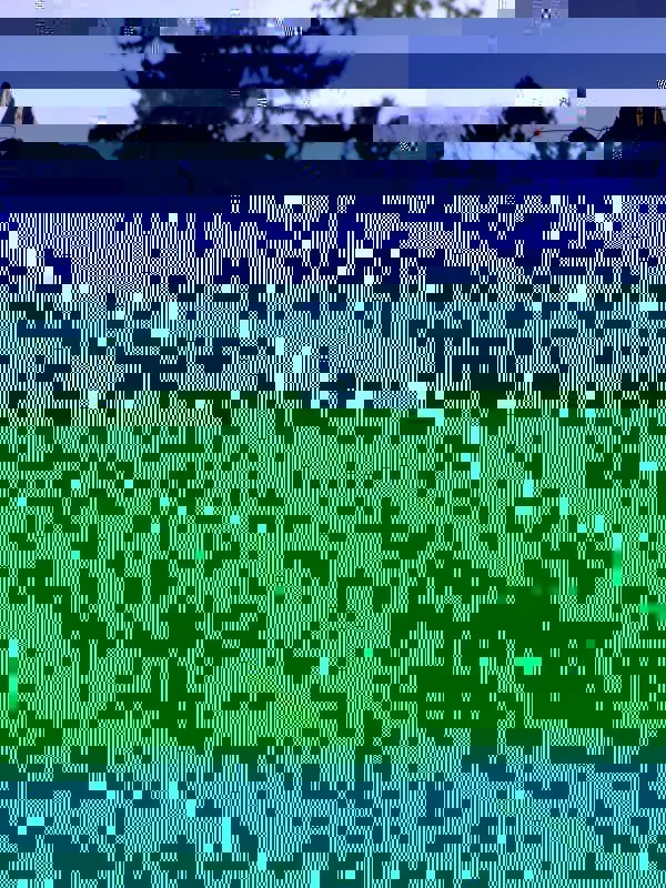 horsehead.webp
