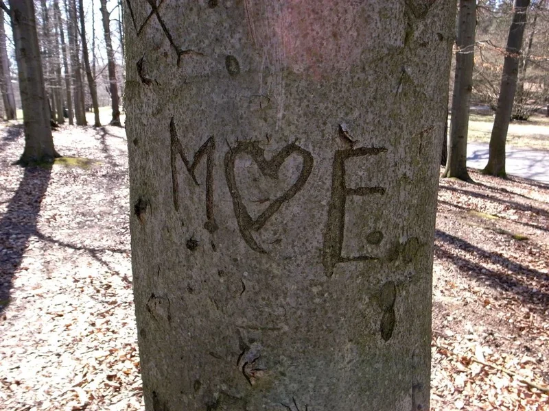 love_01.webp