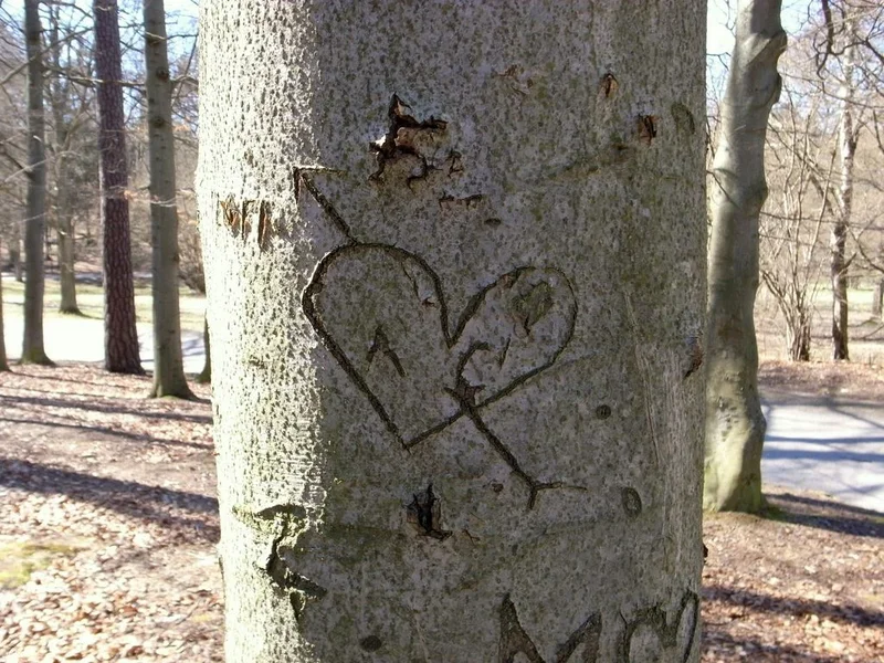 love_02.webp