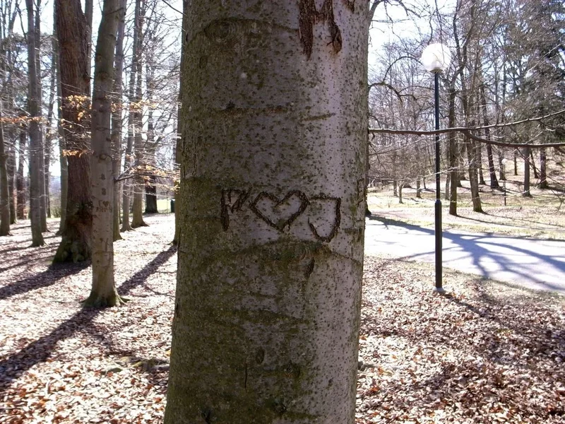love_03.webp