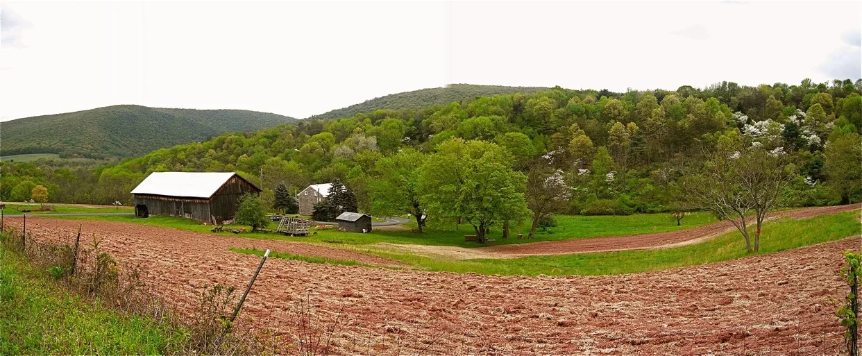 PA panorama 3.webp