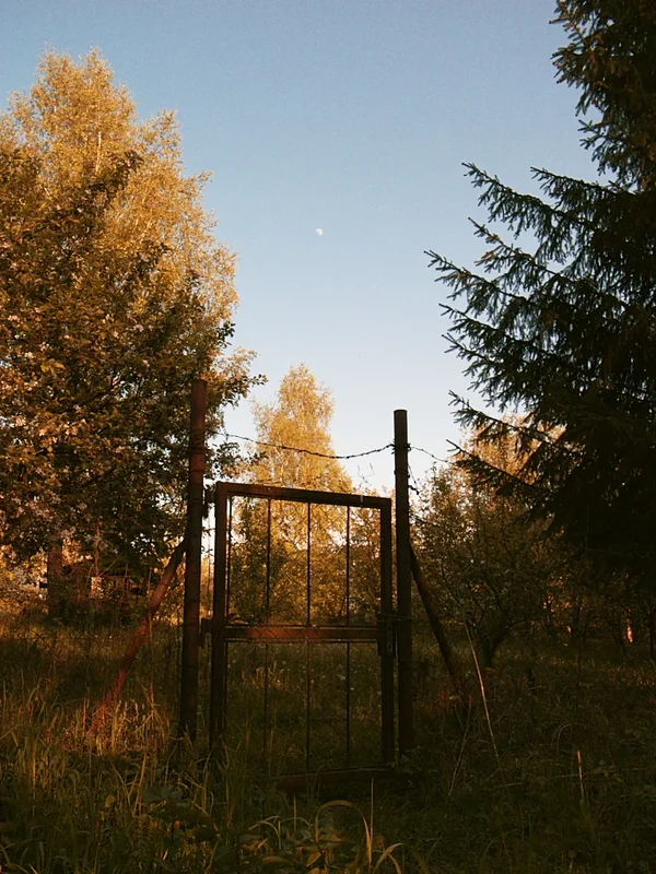 R0014658_dng.webp