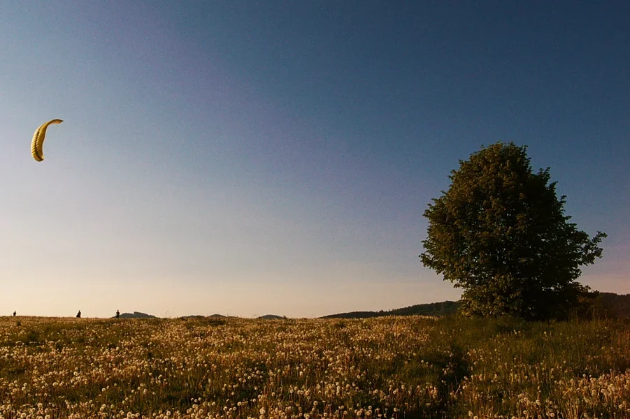 R0014665_dng.webp