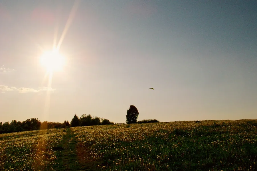 R0014670_dng.webp