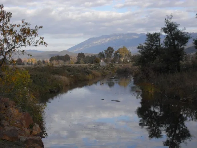 R0010729.webp