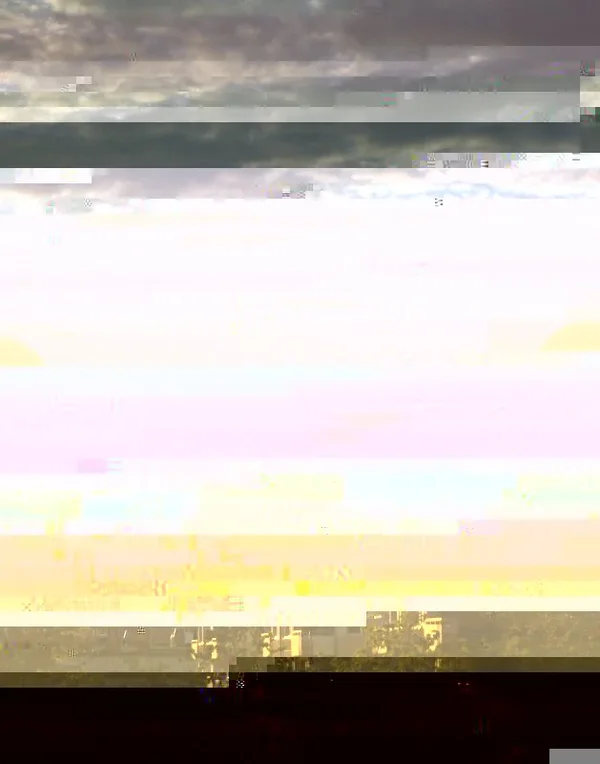 baloon4.webp