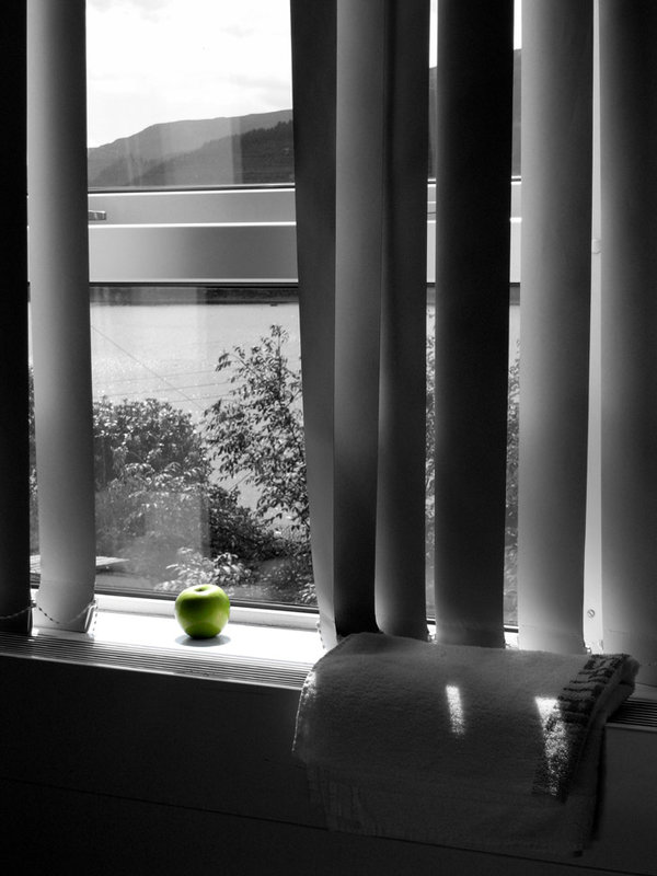 blinds_apple1.jpg