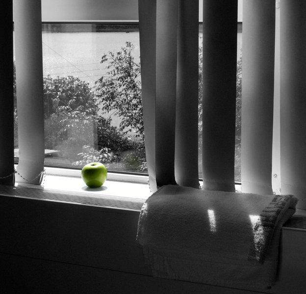 blinds_apple2b.jpg