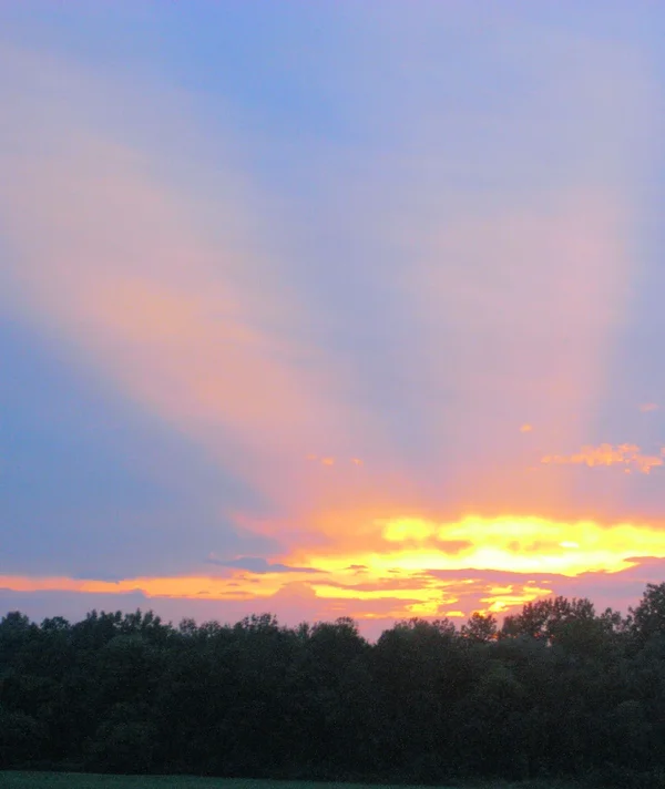R0010686b.webp