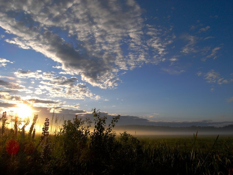 Sunrise Through Mist_2.jpg